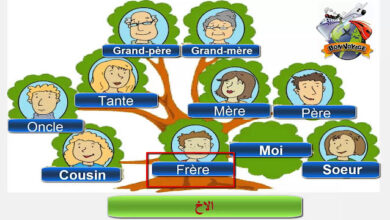 شجرة العائلة بالفرنسية للسنة الثالثة ابتدائي