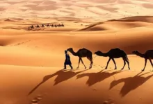 تعبير عن الصحراء للسنة الخامسة ابتدائي