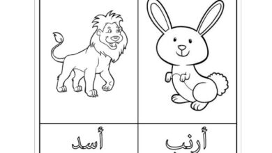 تلوين الارقام العربية للاطفال pdf