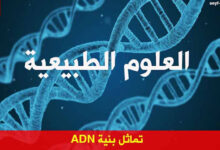 تحضير درس تماثل بنية ADN للسنة الثانية ثانوي