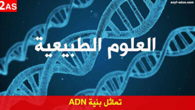 تحضير درس تماثل بنية ADN للسنة الثانية ثانوي