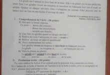 موضوع اللغة الفرنسية شهادة التعليم الابتدائي 2018