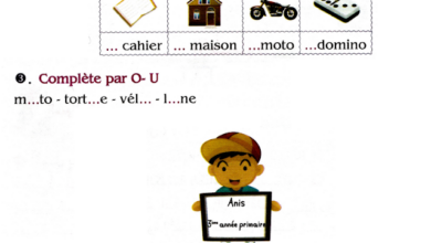 تمارين اللغة الفرنسية للسنة الثالثة ابتدائي الفصل الاول